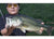 ACQUAGILL 3.5"
