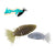 ACQUAGILL 3.5"